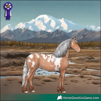 Horse Color:White Spotted Chocolate Silver Amber Champagne Skewed Appaloosa