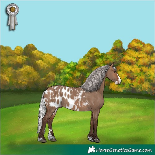 Horse Color:Silver Brown Dun Splash Skewed LP Spotted