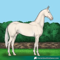 Horse Color:Cremello Rabicano 