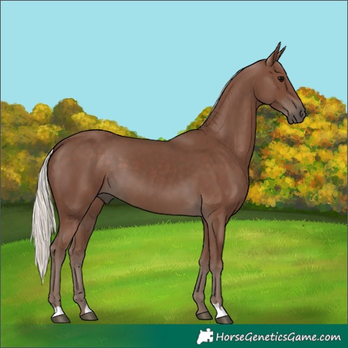 Horse Color:Silver Black 