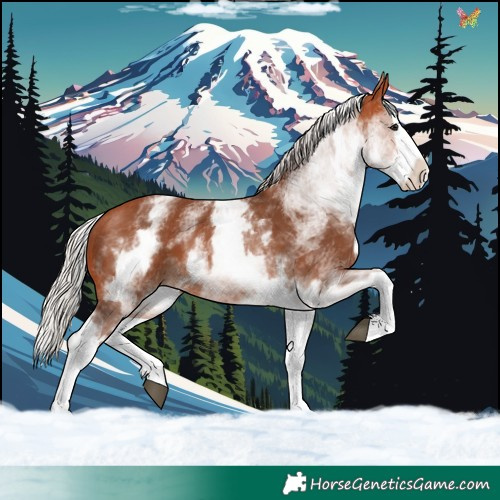 Horse Color:White Spotted Silver Bay Splash