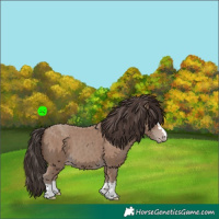 Horse Color:Classic Champagne