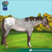 Horse Color:Liver Red Roan Snowflake Varnish