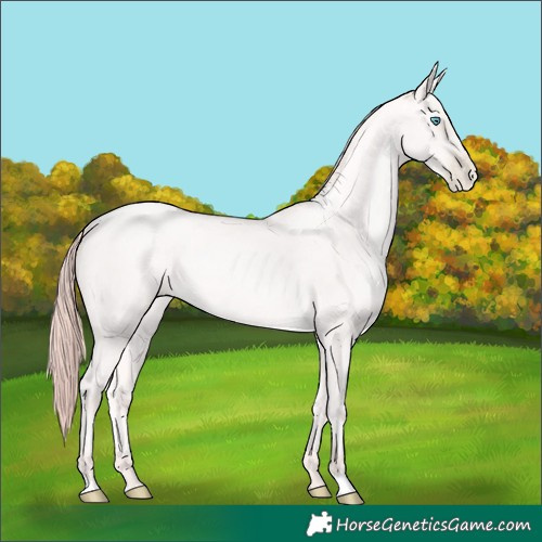 Horse Color:Classic Cream Champagne Pearl 