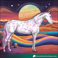 Horse Color:Watercolor Bay Appaloosa Rabicano