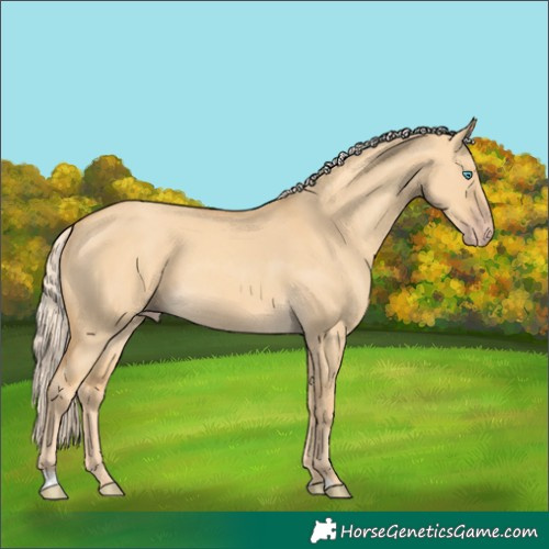 Horse Color:Gold Cream Champagne Dun 