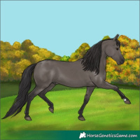 Horse Color:Smoky Grullo