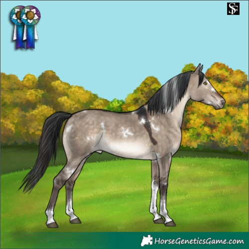 Horse Color:White Spotted Brown Dun Tobiano Rabicano 