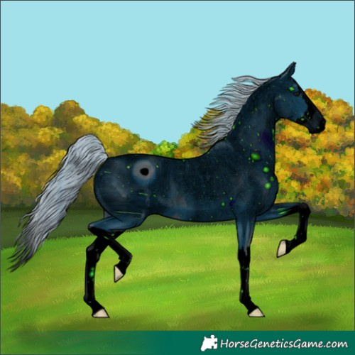 Horse Color:ERROR: UNKNOWN ANOMALY
