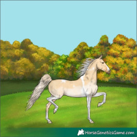 Horse Color:Palomino Dun Tobiano 