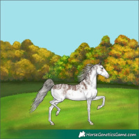 Horse Color:White Spotted Liver Chestnut Mushroom Splash