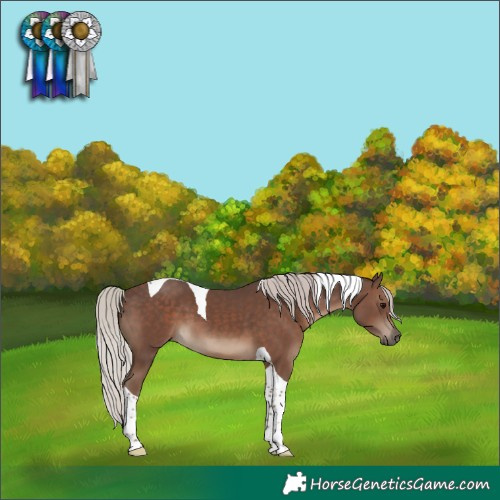 Horse Color:Silver Black Tobiano
