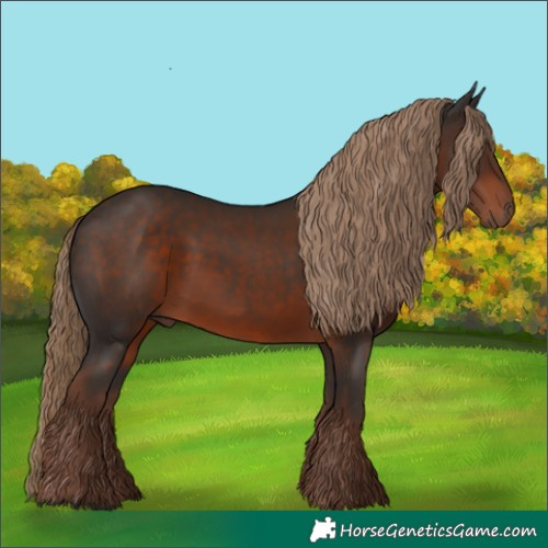 Horse Color:Liver Chestnut