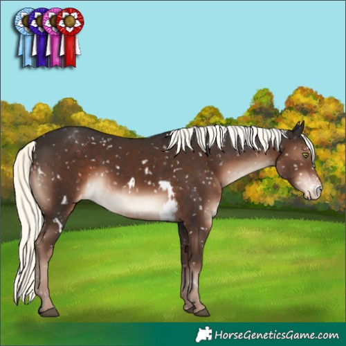Horse Color:White Spotted Liver Chestnut Mushroom Sabino Snowflake Varnish Rabicano