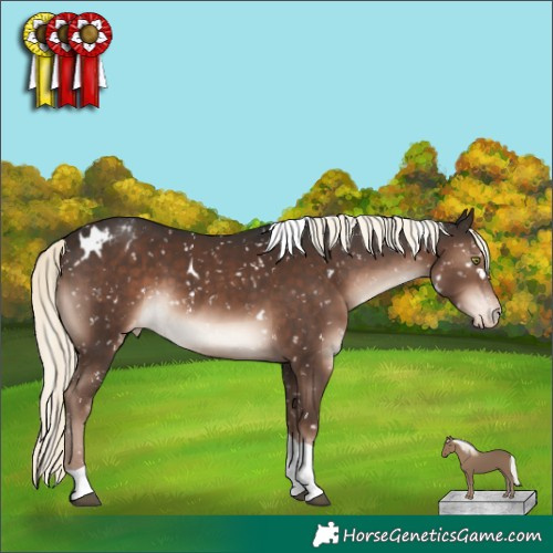 Horse Color:White Spotted Liver Chestnut Mushroom Tobiano Snowflake Varnish Rabicano