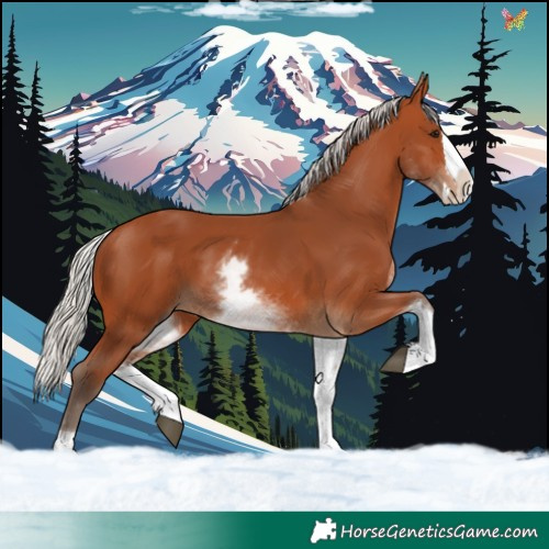 Horse Color:White Spotted Silver Bay Splash 