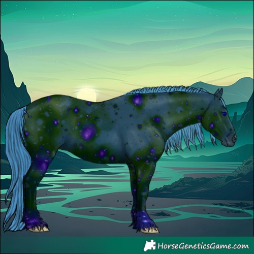 Horse Color:ERROR: UNKNOWN ANOMALY