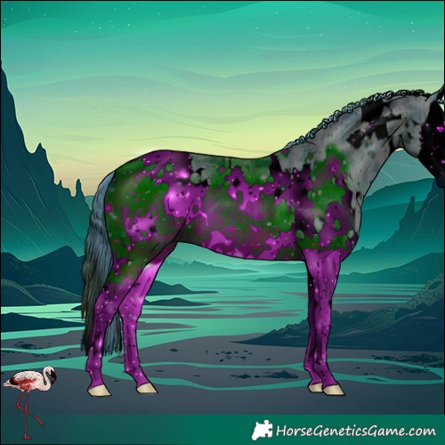 Horse Color:ERROR: UNKNOWN ANOMALY