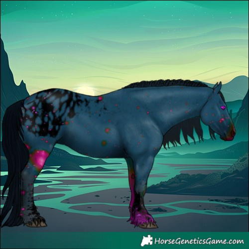 Horse Color:ERROR: UNKNOWN ANOMALY