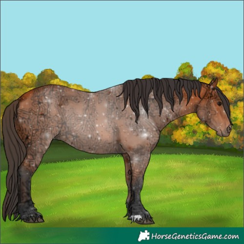 Horse Color:Bay Ice 
