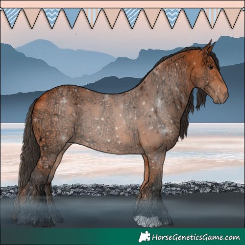 Horse Color:Bay Ice