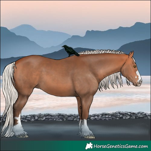 Horse Color:Silver Bay