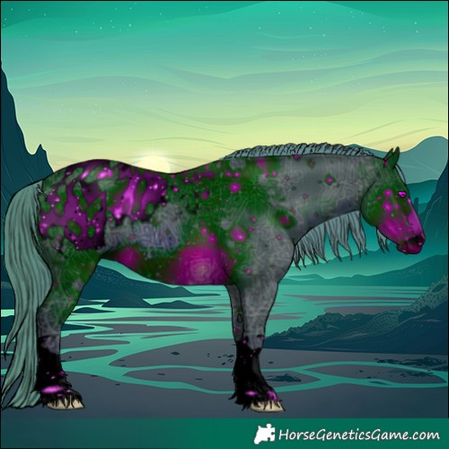 Horse Color:ERROR: UNKNOWN ANOMALY