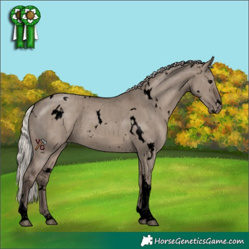 Horse Color:Void White Spotted Silver Grullo Tobiano Appaloosa Rabicano Brindle 