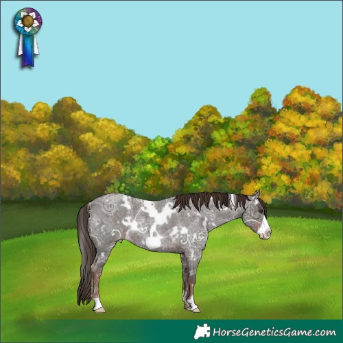 Horse Color:White Spotted Liver Red Ice Roan Frame Rabicano 