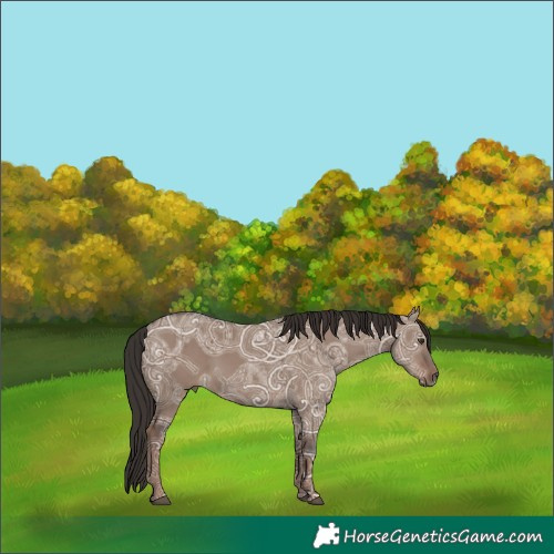 Horse Color:Liver Red Dun Ice