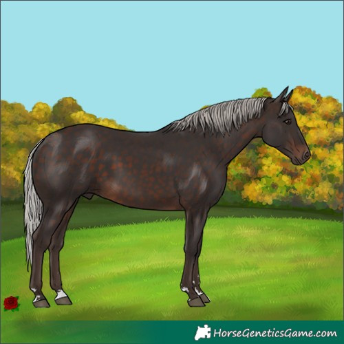 Horse Color:Silver Brown 