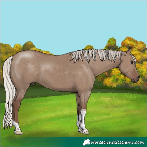 Horse Color:Silver Grullo Tobiano 