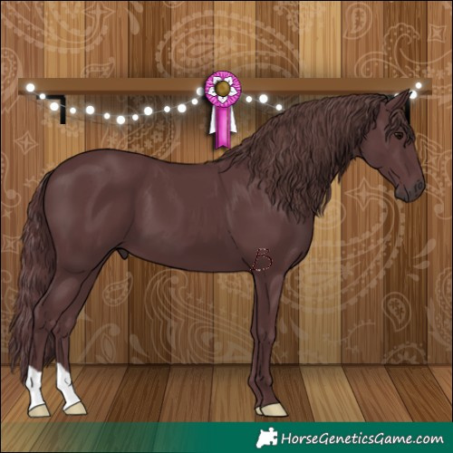 Horse Color:Chocolate Black 