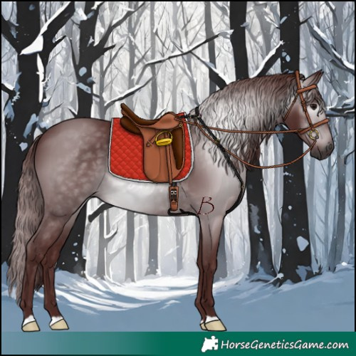 Horse Color:Gray Chocolate Black 