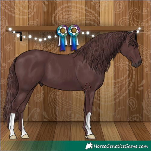 Horse Color:Chocolate Black