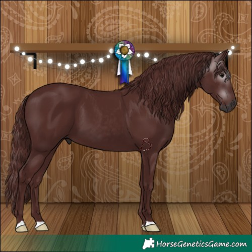 Horse Color:Gray Chocolate Black 
