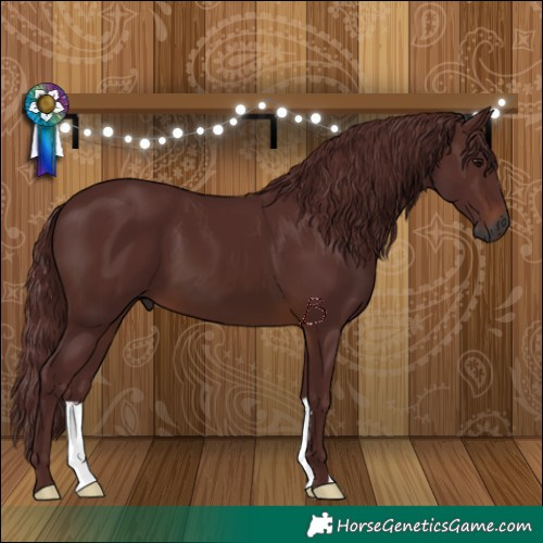 Horse Color:Gray Chocolate Brown 