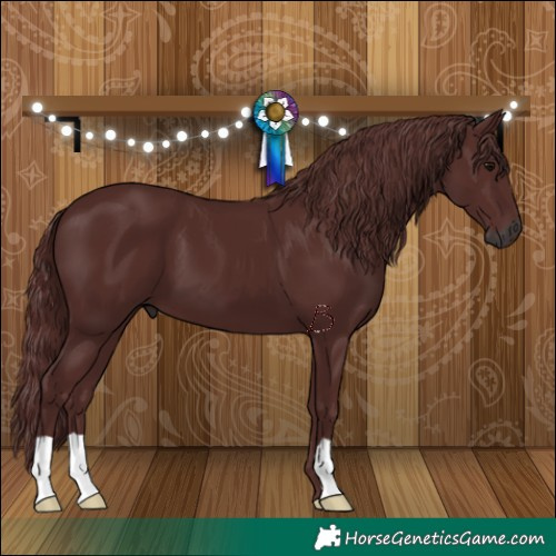 Horse Color:Gray Chocolate Black 