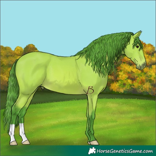 Horse Color:Watercolor Chocolate Bay