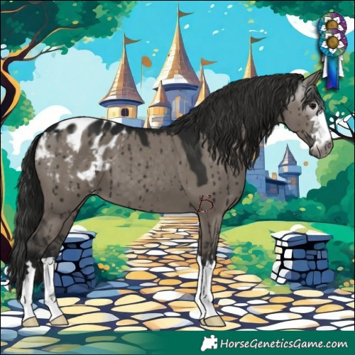 Horse Color:Gray Grullo Appaloosa Brindle 