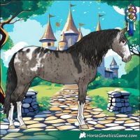 Horse Color:Gray Grullo Varnish Brindle
