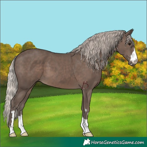 Horse Color:Silver Black