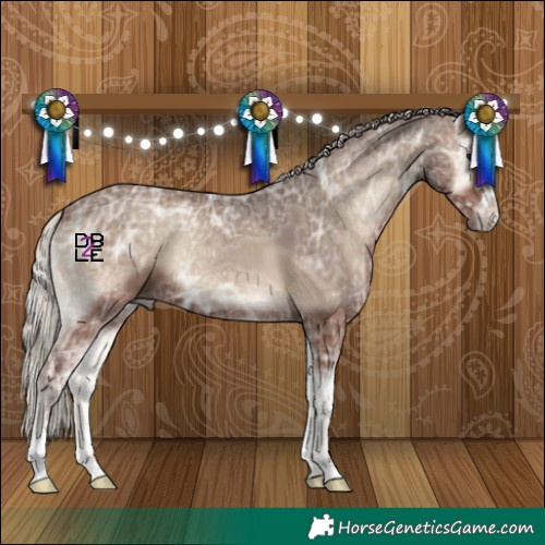 Horse Color:Silver Blue Onyx Ice