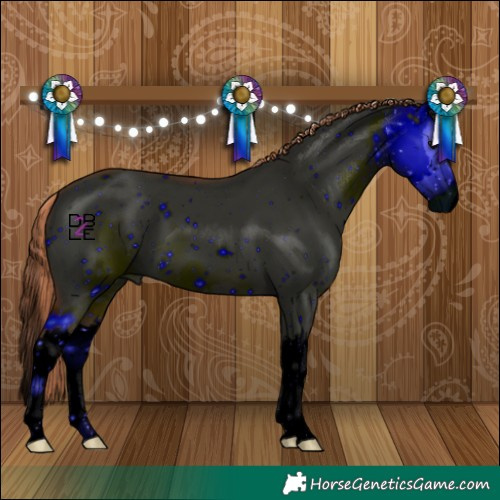 Horse Color:ERROR: UNKNOWN ANOMALY