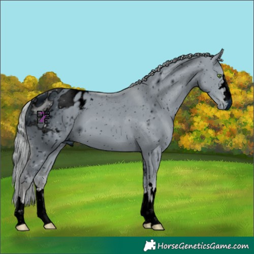 Horse Color:ERROR: UNKNOWN ANOMALY