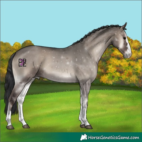 Horse Color:Grullo Onyx 