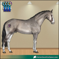 Horse Color:Grullo Onyx 