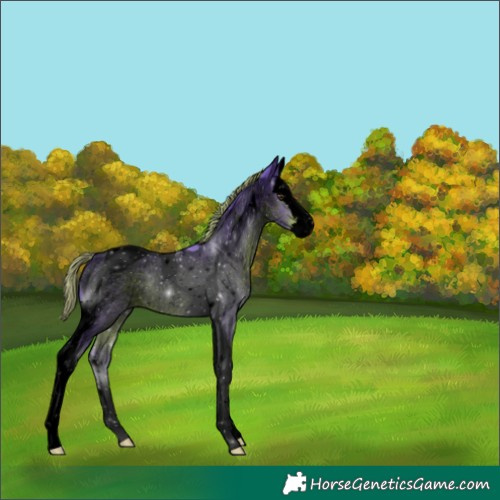 Horse Color:Void Watercolor Liver Red Roan Splash Tobiano