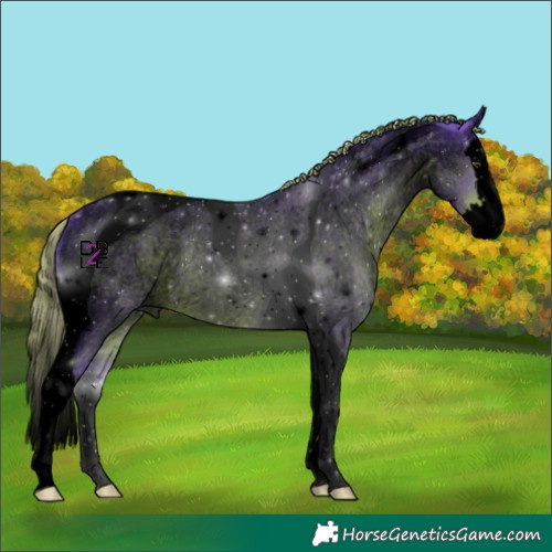 Horse Color:Void Watercolor Liver Red Roan Splash Tobiano