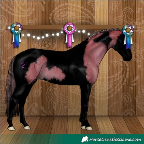 Horse Color:Void Watercolor Liver Chestnut Splash Tobiano
